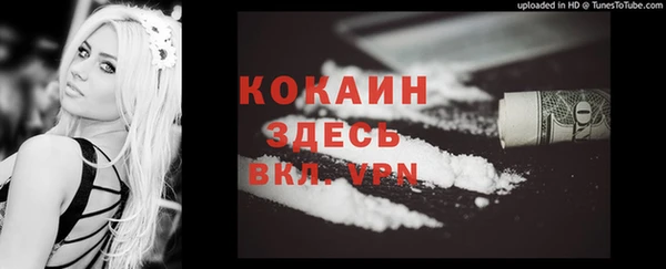 стаф Волоколамск