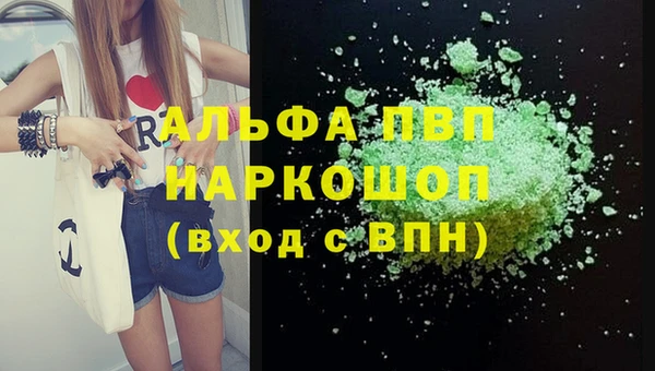 стаф Волоколамск